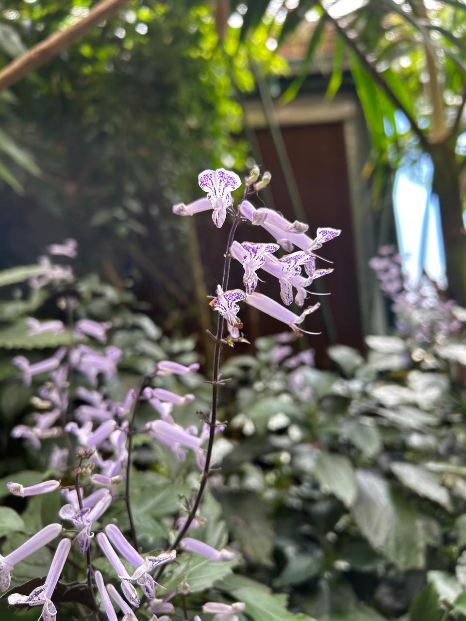 Recuperación espacios